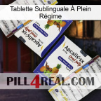 Tablette Sublinguale À Plein Régime 12